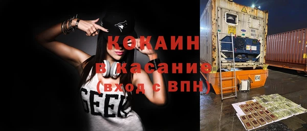 кокс Михайлов