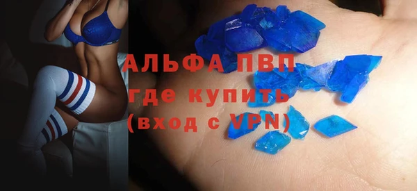 PSILOCYBIN Медвежьегорск