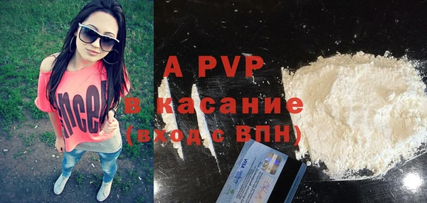 стафф Михайловск