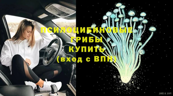 стафф Михайловск