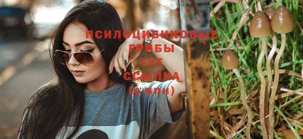 не бодяженный Михайловка