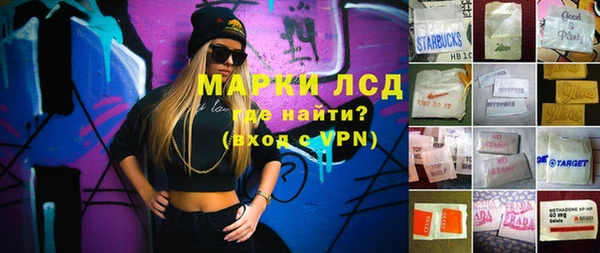 стафф Михайловск