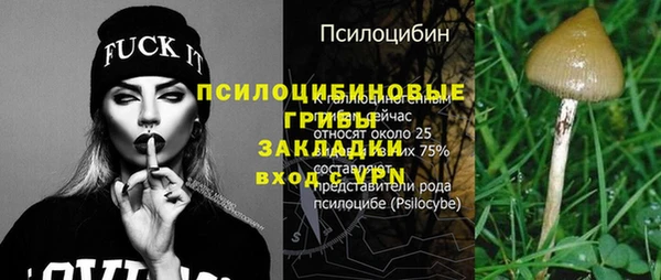 стафф Михайловск