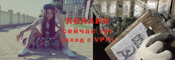 стафф Михайловск