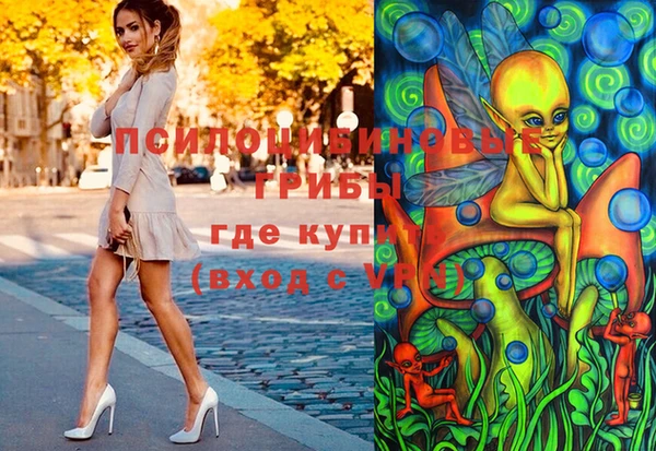 стафф Михайловск