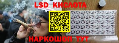 гашик Гай