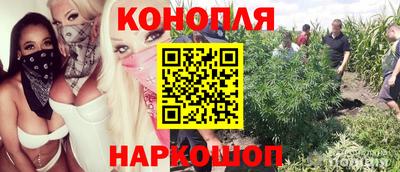 гашик Гай