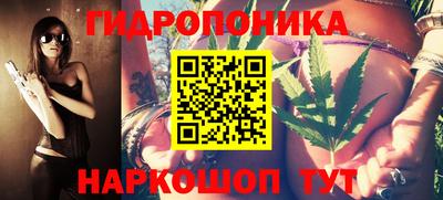 гашик Гай