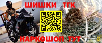 гашик Гай