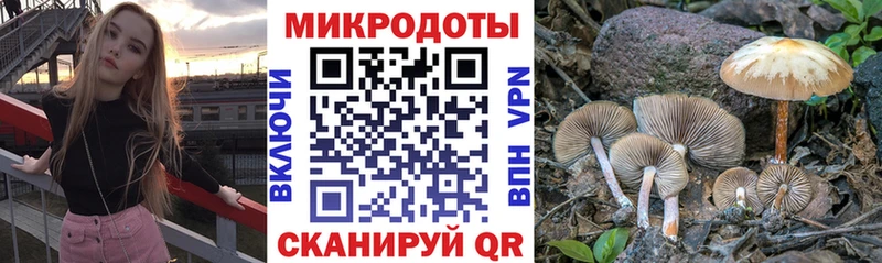 Псилоцибиновые грибы мухоморы  нарко площадка как зайти  Йошкар-Ола 