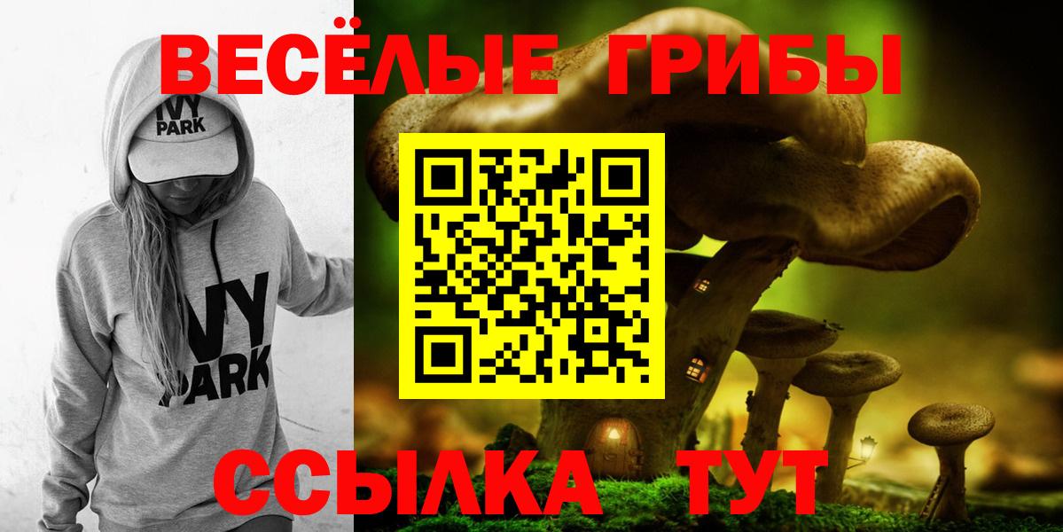 Галлюциногенные грибы Psilocybe Йошкар-Ола